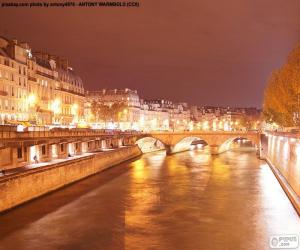 yapboz Gece, Paris Seine Nehri